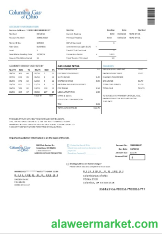USA Columbia Gas of Ohio business utility bill template in Word and PDF formats